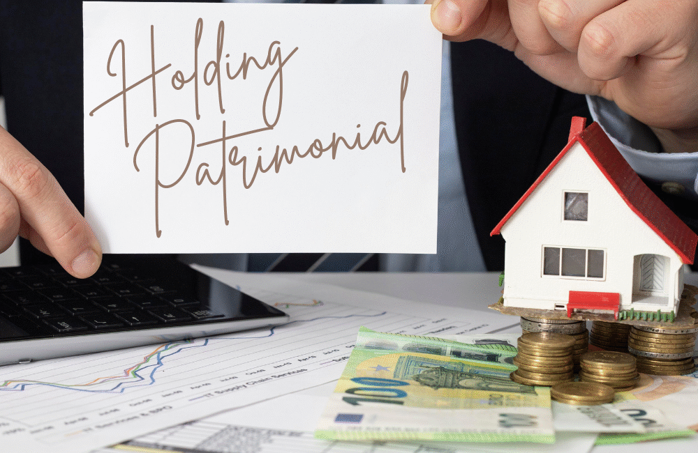O Que é Holding Patrimonial. como constituir uma holding , quais patrimonios podem fazer parte da Holding